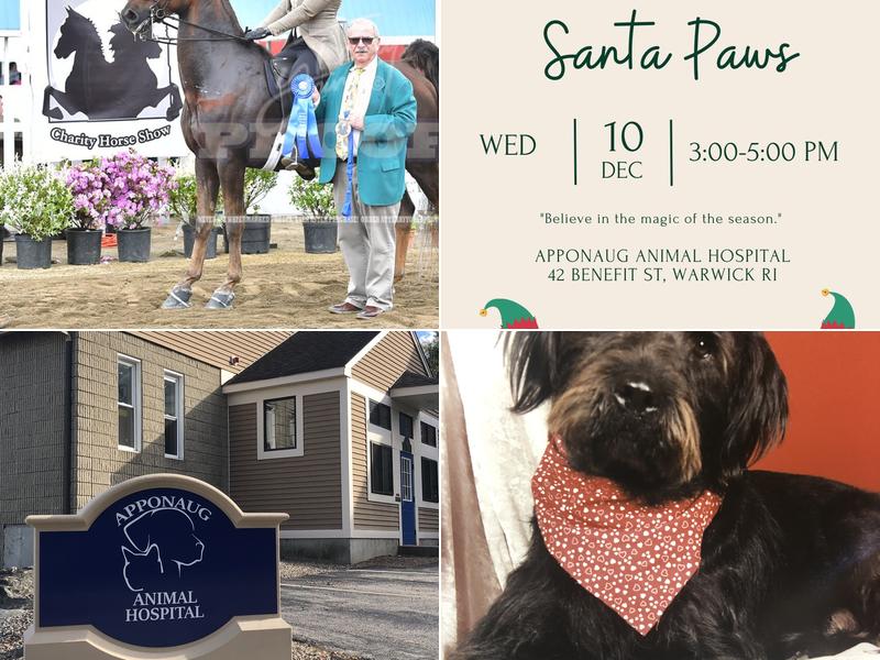 Apponaug Animal Hospital