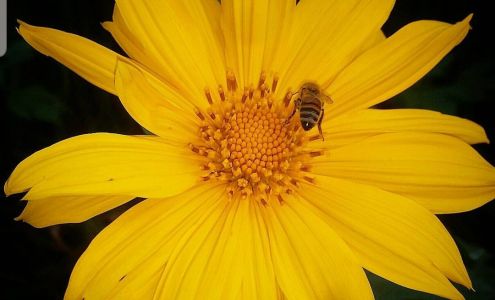 BEAUTY ByLISS HAIR STUDIO