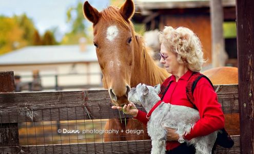 Networth Financial LLC