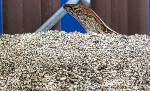 CFX Office Technology