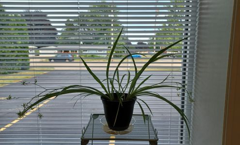 John R Wieland CPA LLC