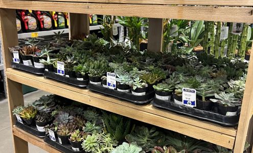 Lowe's Garden Center