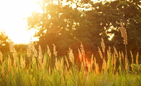 Iverson Law Office, PLLC 24 W 1st Ave, Odessa Washington 99159