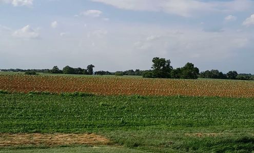 Pleasure View Farms LLC Pleasureville