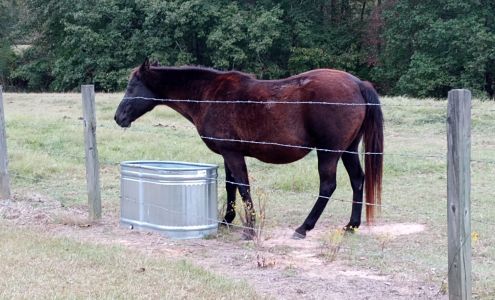 This and That Auction Beaverton