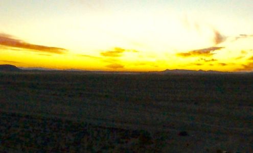 Jalisco Jojoba Farming Llc Dateland