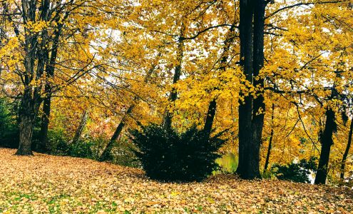 Little Blue River Lake and Trailer Park Arlington