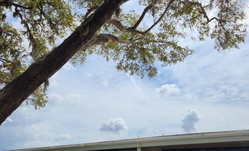 BR's Quality Tree Service Englewood