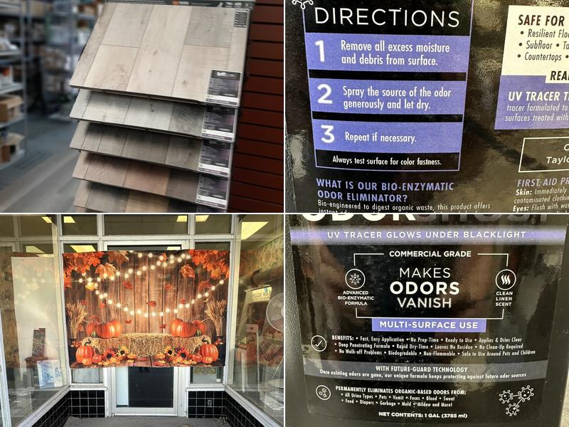 Wall To Wall Carpet & Interior