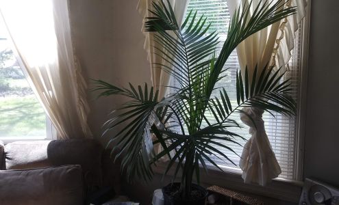 Montague Farms Center Cross