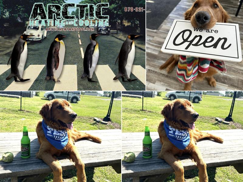 Arctic Heating and Cooling