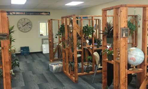 Blue Moon Tax Service