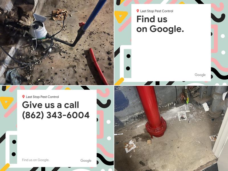 Last Stop Pest Control