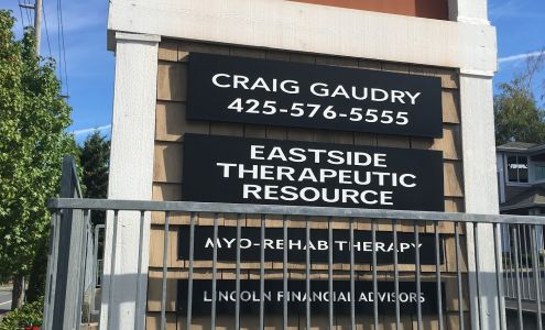 Clara Hollin Lincoln Financial Advisors