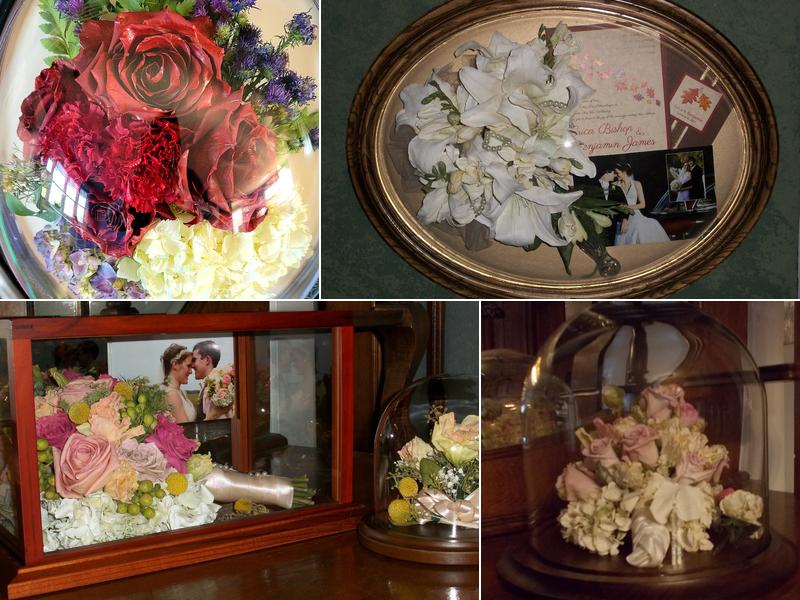 Everlastings at the Orchard