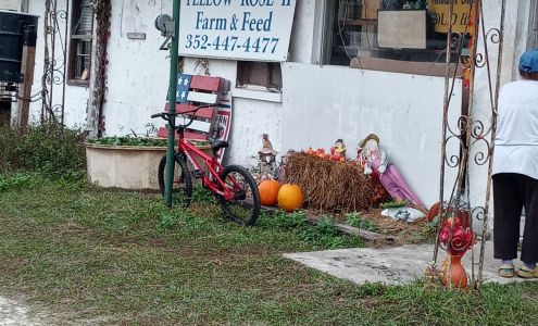 Yellow Rose II Farm & Feed Inglis
