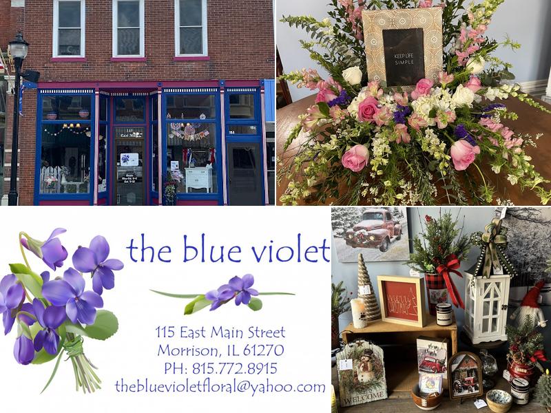 The Blue Violet
