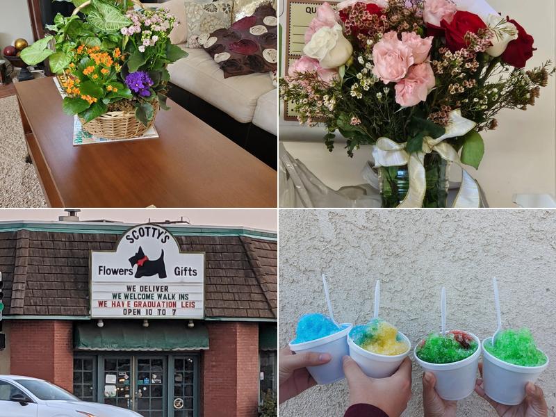 Scottys Flowers and Gifts