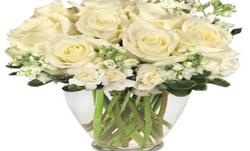 Special Touch Floral Design 207 Pike St, Manchester Ohio 45144