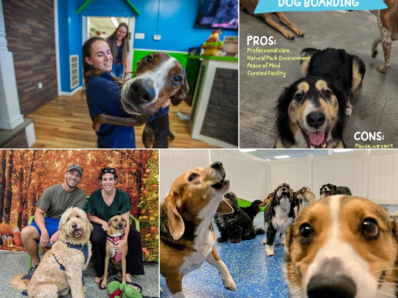 Hounds Town Space Coast