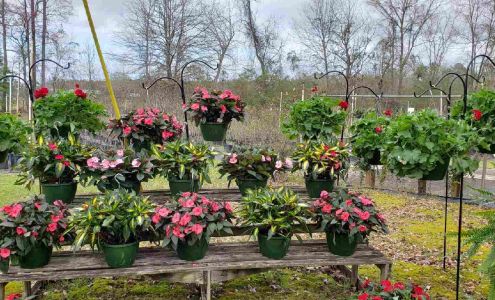 Williams Nursery Leroy