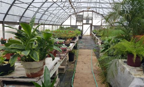 Pine City Lawn and Garden 27345 US-43, Leroy Alabama 36548