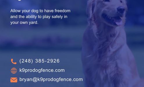 K9 Pro Dog Fence