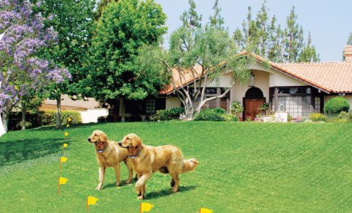 Dog Guard Fencing of Kentucky