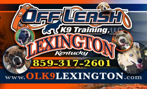 Off Leash K9 Training Lexington