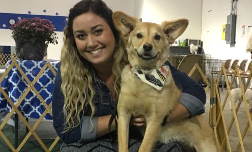 Tri Cities Dog Training Club of Saginaw Bay