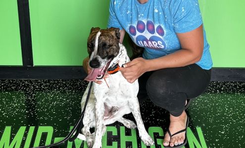 Mid-Michigan K9 Academy