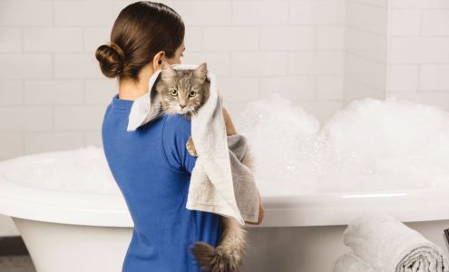 PetsHotel Eden Prairie