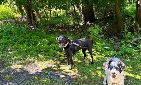 Happie Doggie Mobile Dog Training