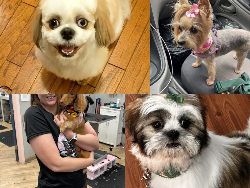 Trims For Tails, LLC