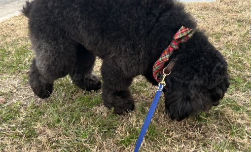 Pitt County K9 Academy: Grooming