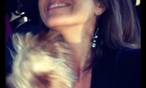 South Ridge Veterinary Hospital: Broadaway Jeff DVM