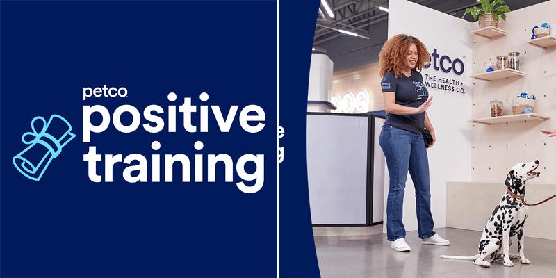 Petco Dog Training