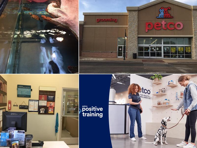 Petco Dog Training