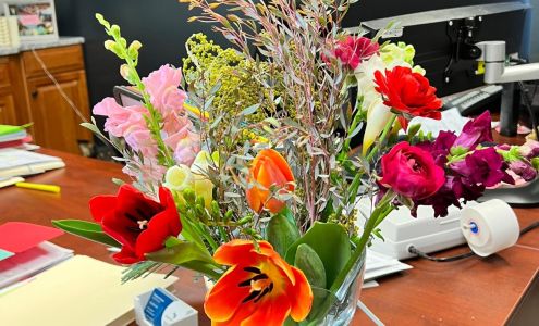 Assurance Accounting & Tax Services