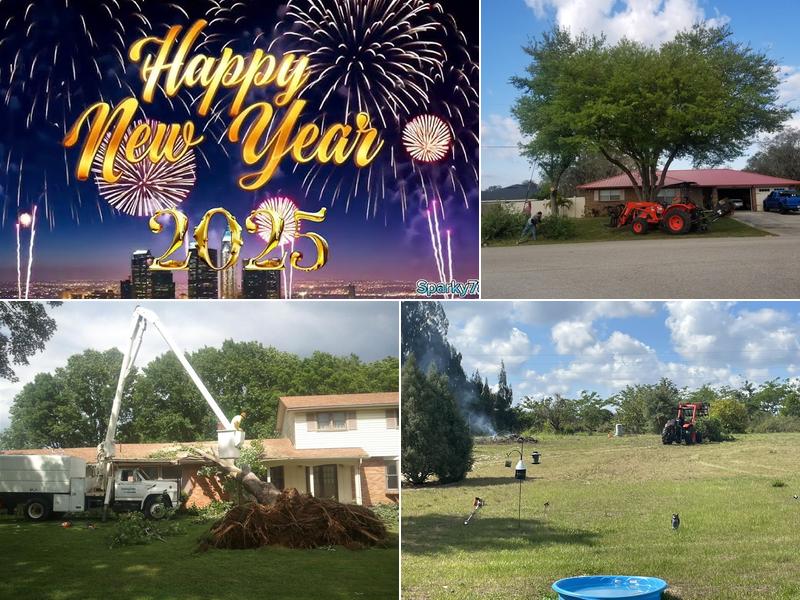 Central Florida Tree and Landscape, LLC.