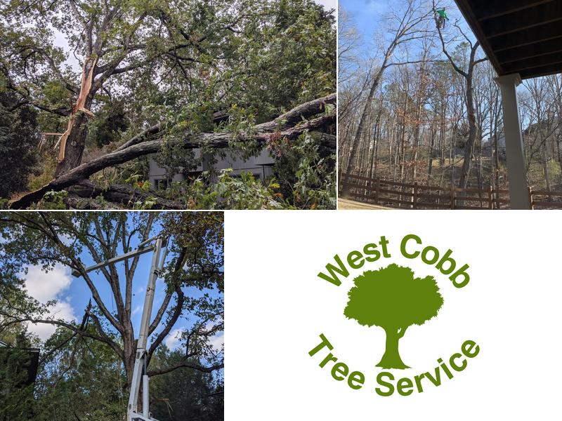 West Cobb Tree Services