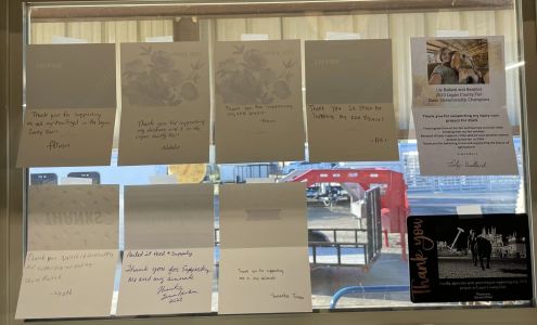 Nailed It Feed & Supply Scranton