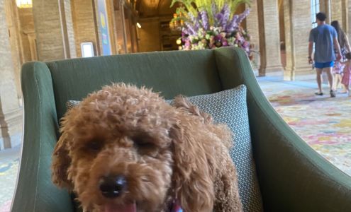 Gift Cards by The Breakers