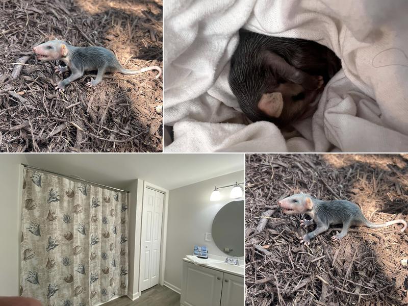 Gemco Roofing & Home Improvement