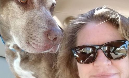 Final Touch Cleaning