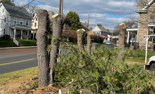 Arrow Tree Service LLC Tylersport Pennsylvania 