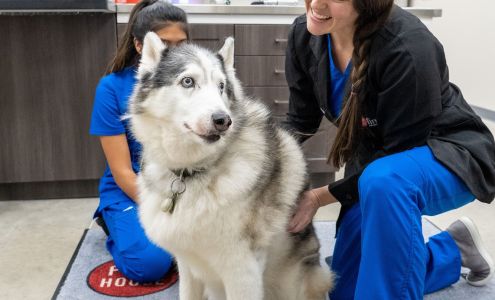 Firehouse Animal Health Center Cedar Park 3219 E Whitestone Blvd ste 300, Cedar Park Texas 78613