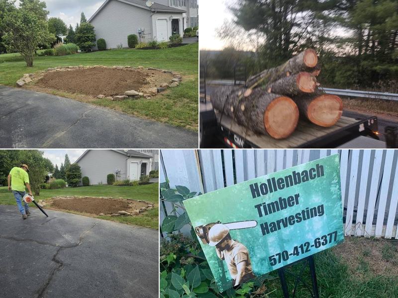 Hollenbach Timber Harvesting