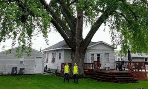 Mr. Jones tree service 311 E Hitt St, Mt Morris Illinois 61054