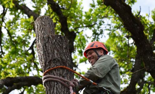 Western Edge Tree Service